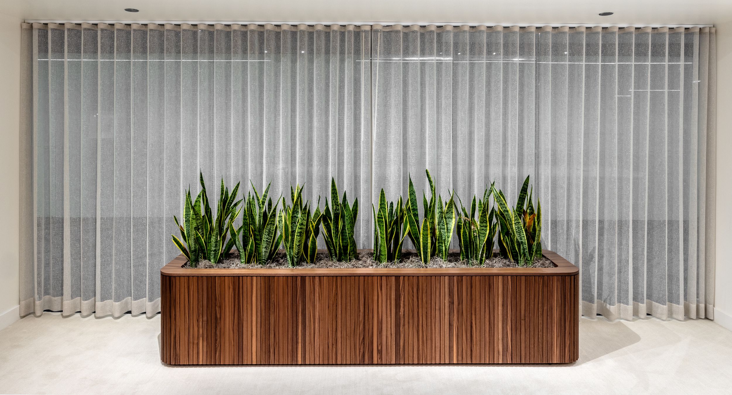 ASTORIA planter in solid Walnut tambour.