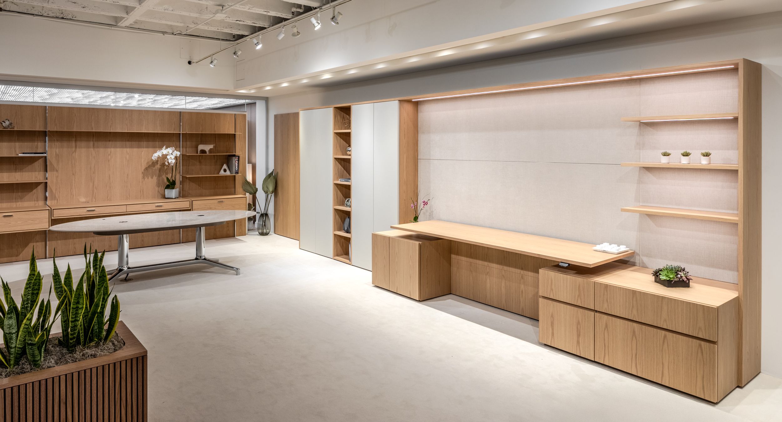 NEW MILLENNIA private office and storage wall in custom White Oak showcasing a new 1