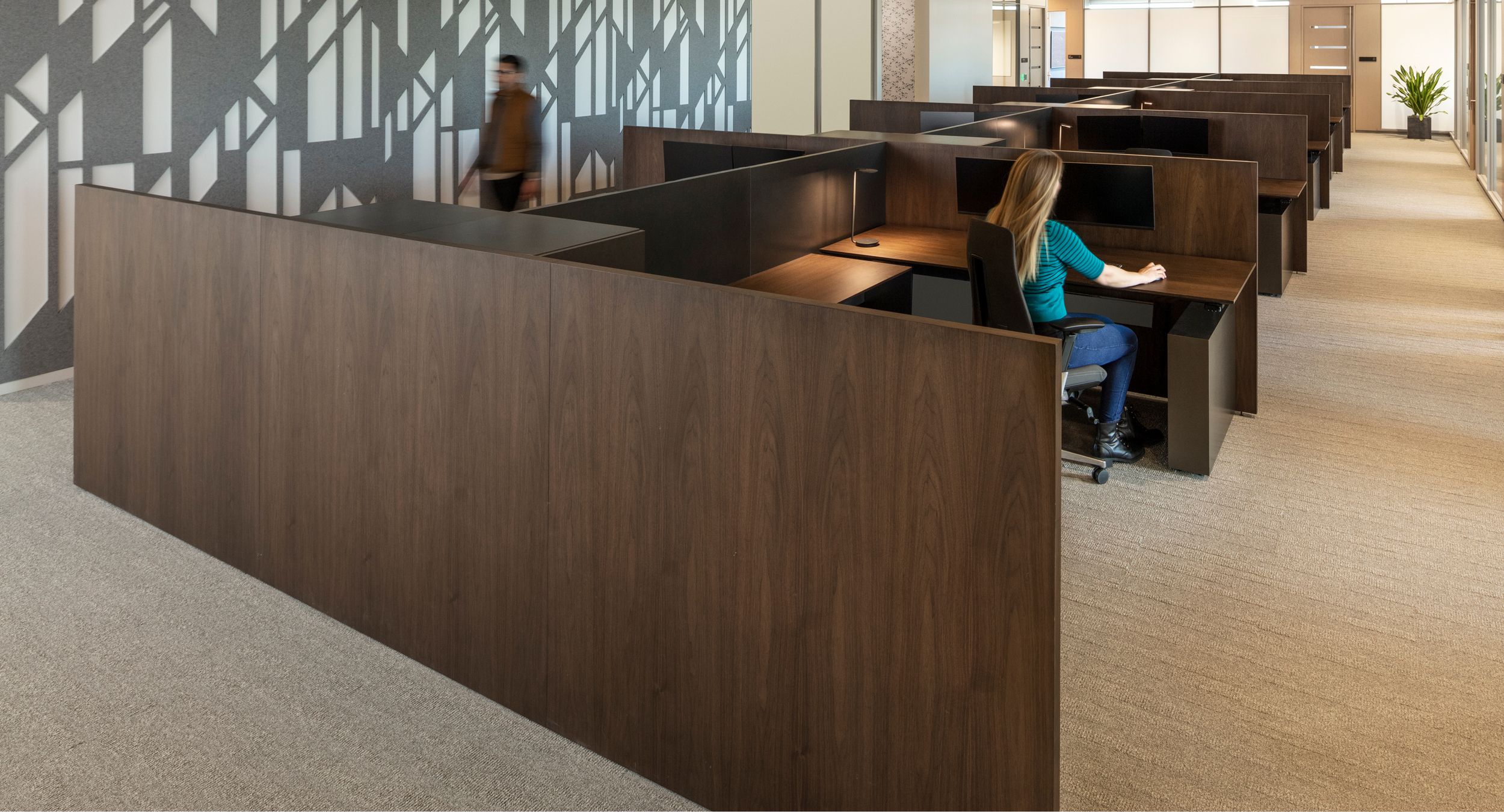 Spacious open office workstations with adjustable-height surfaces in flat-cut smoked walnut