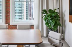 HALO conference table with wood Y-base in white oak and a Mink HALO soft edge. thumbnail